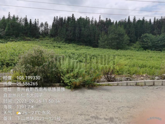 1700017689172391.png image.png