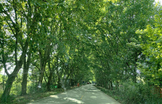 1700029757262312.png image.png