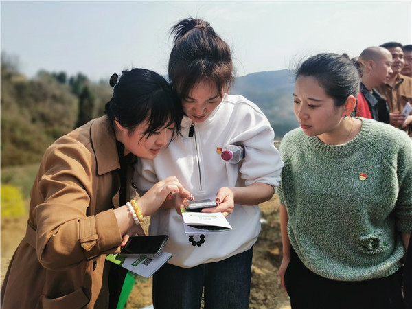 1710294561411828.jpg 3.jpg