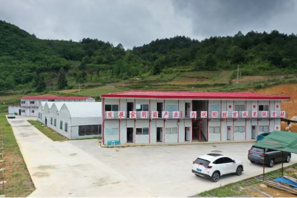 1713954164775828.png image.png