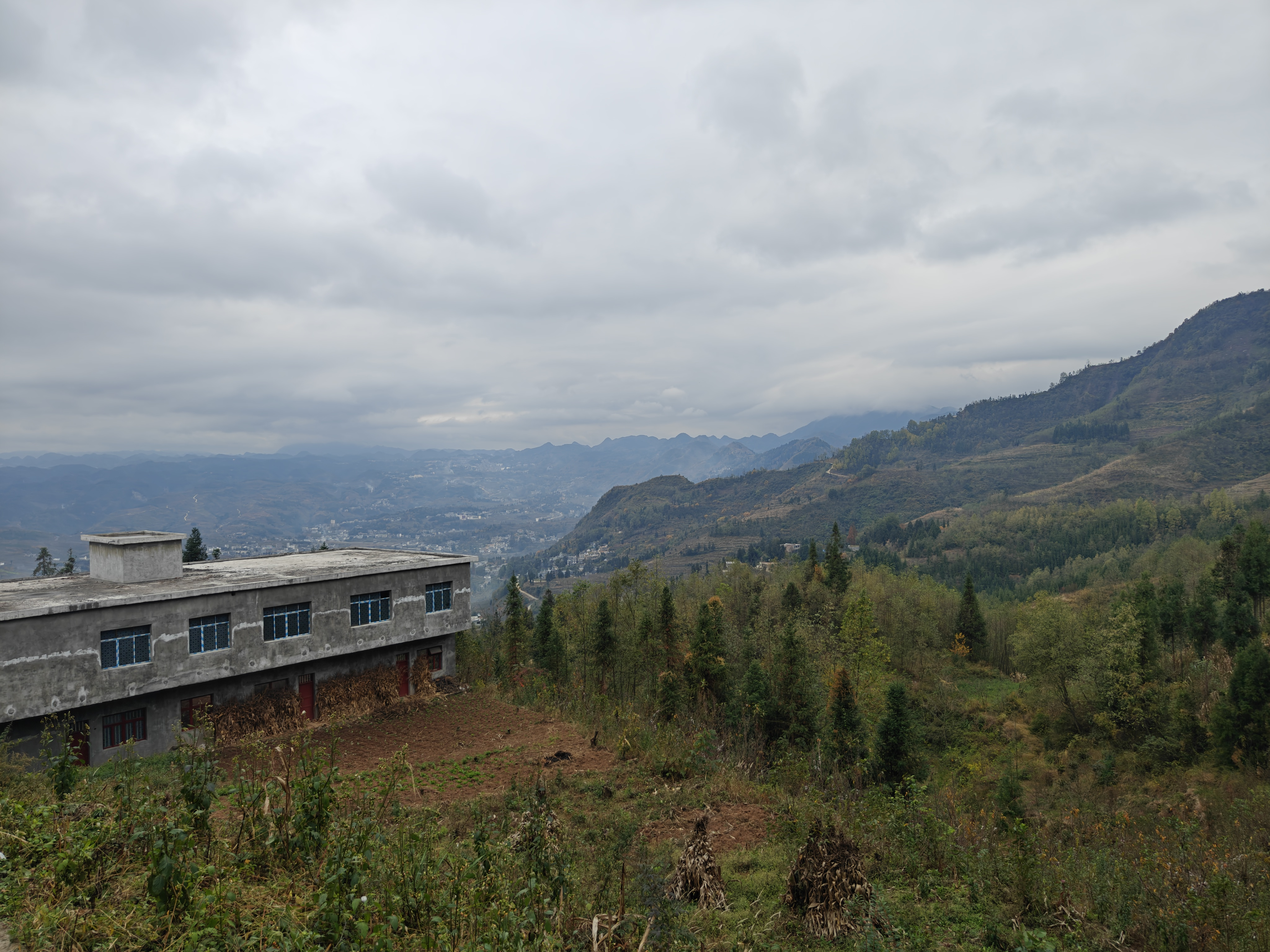 1719819481454168.png 圖片關(guān)鍵詞