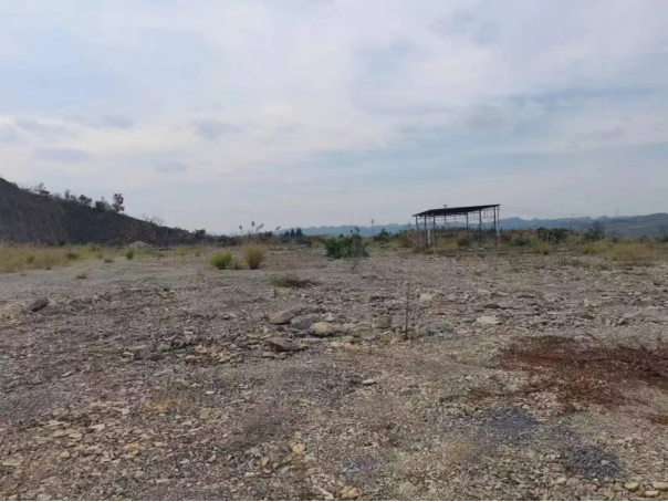 1723515519802480.png 1723515310940472.png