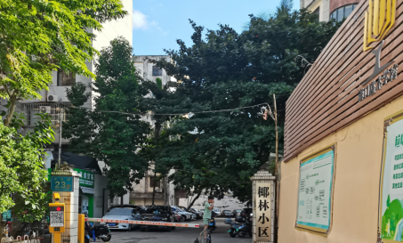 1734944355720585.png image.png