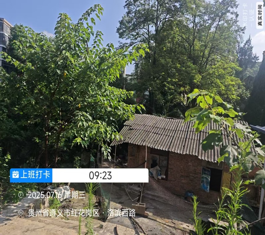 1755165244499968.jpg 圖片關鍵詞