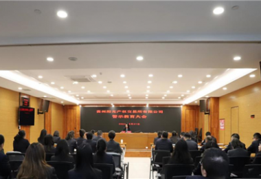 以案為鑒，警醒前行——貴州陽光產(chǎn)權(quán)交易所黨委組織召開2024年警示教育大會