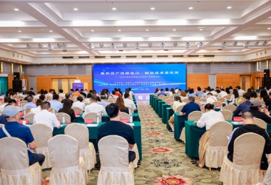 貴陽(yáng)貴安國(guó)企優(yōu)質(zhì)資產(chǎn)“盛宴”開(kāi)席，319項(xiàng)資產(chǎn)集中推介引關(guān)注——貴陽(yáng)貴安國(guó)有企業(yè)資產(chǎn)資源推介會(huì)成功舉辦