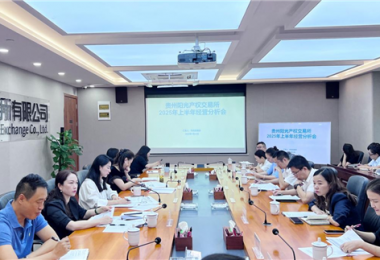 貴州陽(yáng)光產(chǎn)權(quán)交易所召開(kāi)2025年上半年經(jīng)營(yíng)分析會(huì)
